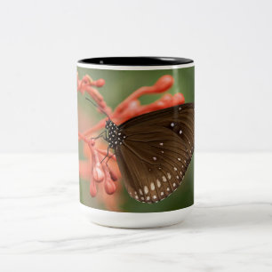 Schöne Butterfly-Tasse Zweifarbige Tasse