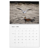 Schöne Captures Kalender (Mär 2026)