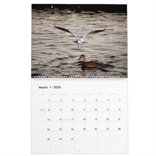 Schöne Captures Kalender (Mär 2026)