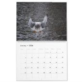 Schöne Captures Kalender (Jan 2026)