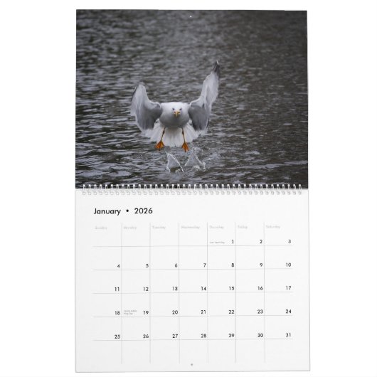 Schöne Captures Kalender (Jan 2026)