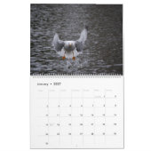 Schöne Captures Kalender (Jan 2027)