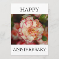 Schöne Carnation Happy Anniversary