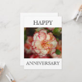 Schöne Carnation Happy Anniversary Karte (Vorderseite/Rückseite Beispiel)