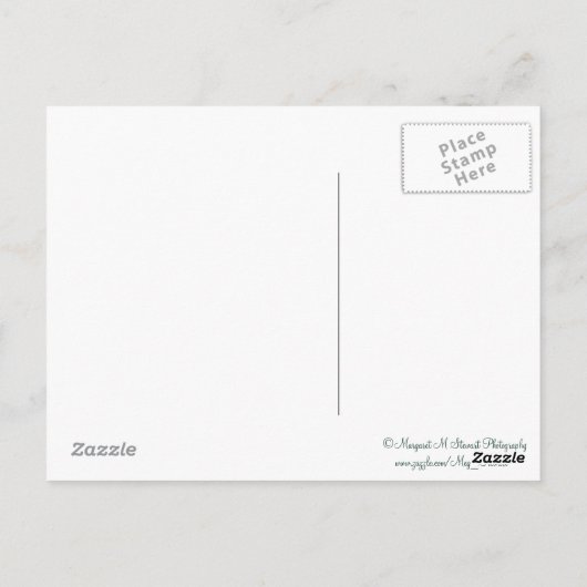 Schöne Cascade Waterfall Postkarte (Rückseite)