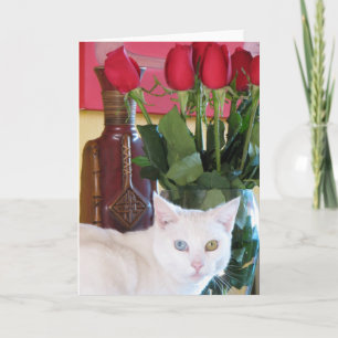 Schöne Cat Grußkarte! Karte