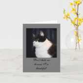 Schöne Cat Note Card Karte (Gelbe Blume)