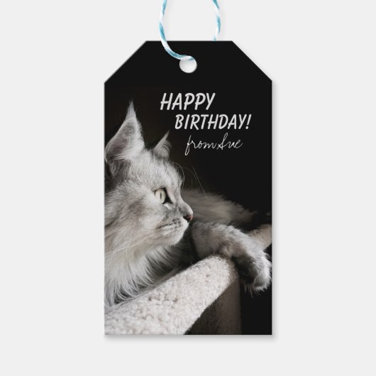 Schöne Cat-Themed Geburtstags Custom Gift Tags Geschenkanhänger (Vorderseite)