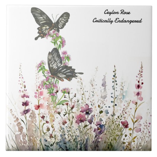 Schöne Ceylon-Rose Handgemalt Butterfly Fliese (Vorderseite)