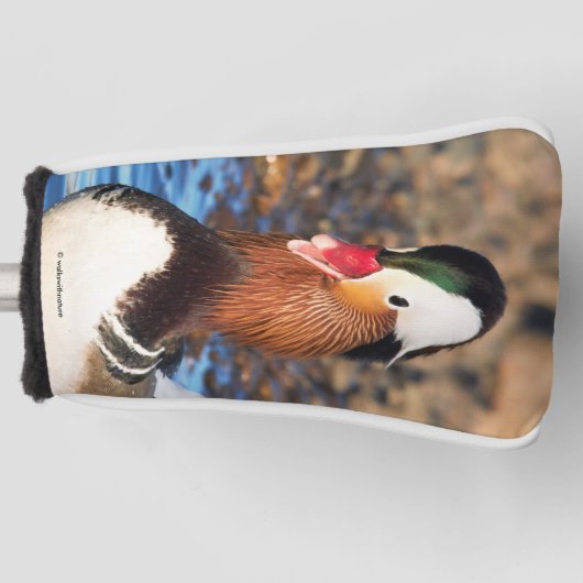 Schöne Chatty Mandarin Duck am Ufer Golf Headcover (Vorderseite)