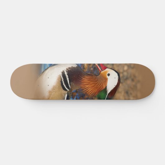 Schöne Chatty Mandarin Duck auf den Felsen Skateboard (Horizontal)