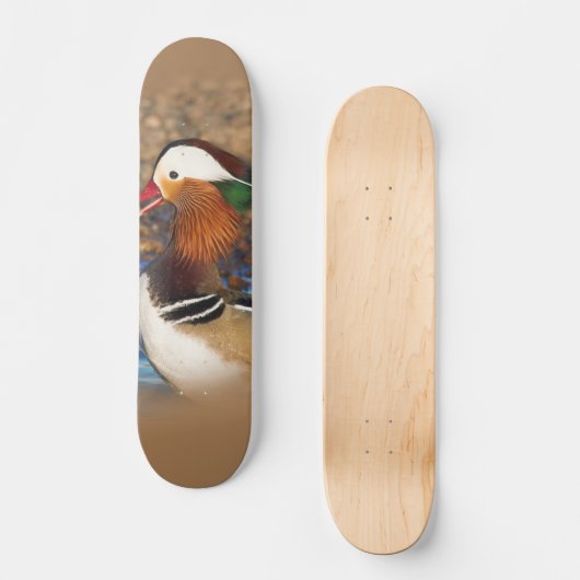 Schöne Chatty Mandarin Duck auf den Felsen Skateboard (Vorderseite)