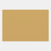 Schöne Cheetah Exotic Geschenkpapier Set (Vorderseite 3)