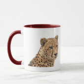 Schöne Cheetah Schöne Cat Foto Tasse (Links)