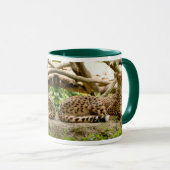 Schöne Cheetah Schöne Cat Foto Tasse (VorderseiteRechts)