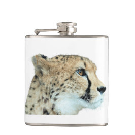 Schöne Cheetah Schönes Cat Foto Flachmann