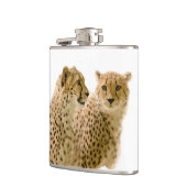 Schöne Cheetah Schönes Cat Foto Flachmann (Links)