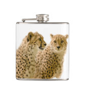 Schöne Cheetah Schönes Cat Foto Flachmann (Vorderseite)