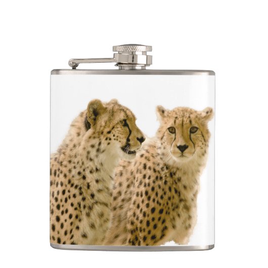 Schöne Cheetah Schönes Cat Foto Flachmann (Vorderseite)