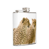 Schöne Cheetah Schönes Cat Foto Flachmann (Rechts)