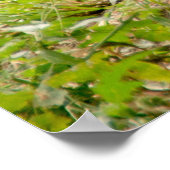 Schöne Cheetah Schönes Cat Foto Poster (Ecke)