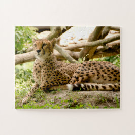 Schöne Cheetah Schönes Cat Foto Puzzle