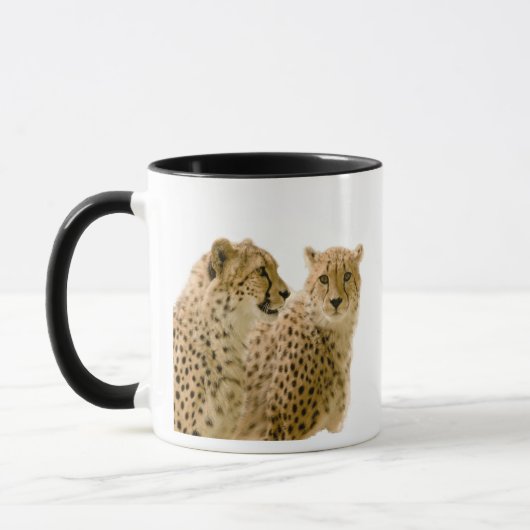 Schöne Cheetah Schönes Cat Foto Tasse (Links)
