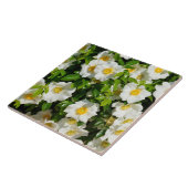 Schöne Cherokee Rose Fliese (Seite)