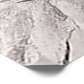 Schöne Cholla Kaktus-Schrift 1 Samuel 16:7 Poster (Ecke)