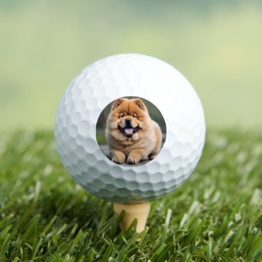 Schöne Chow Chow Golfball (Insitu T-Shirt)