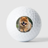 Schöne Chow Chow Golfball (Vorderseite)
