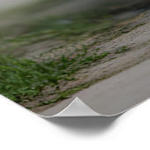 Schöne Chow Chow Poster (Ecke)