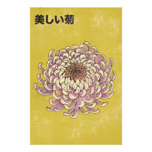 Schöne Chrysantheme Fotodruck