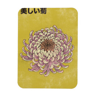 Schöne Chrysantheme Magnet