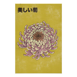 Schöne Chrysantheme Poster