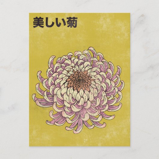 Schöne Chrysantheme Postkarte (Vorderseite)