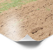 Schöne Clydesdale Pferde pflügen Fotodruck (Ecke)