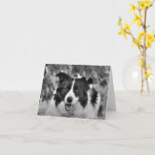 Schöne Collie Geburtstagskarte Karte (Gelbe Blume)