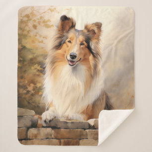 Schöne Collie Sherpadecke