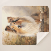 Schöne Collie Sherpadecke (Vorderseite (Horizontal))