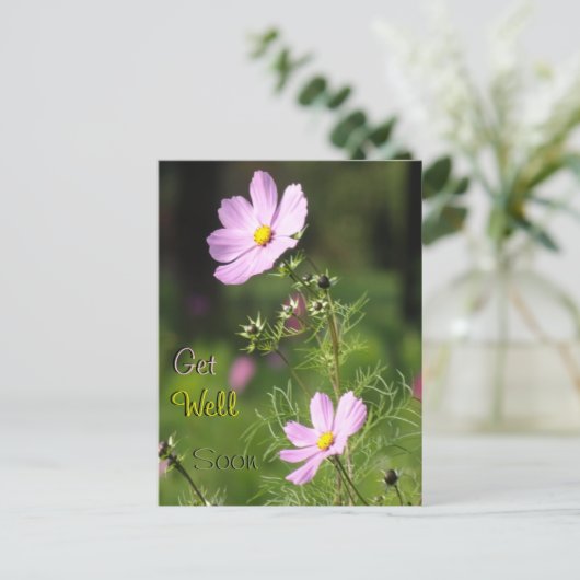 Schöne Cosmea Blume werden bald gut Postkarte (Stehend Vorderseite)