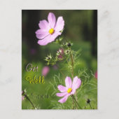 Schöne Cosmea Blume werden bald gut Postkarte (Vorderseite)