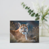 Schöne Cougar Mountain Löwe Wilderness Natur Postkarte (Stehend Vorderseite)