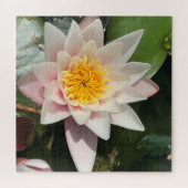 Schöne, cremefarbene Pink-Wasserlilie, Lotus Bloss Puzzle (Horizontal)