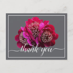 Schöne Crimson Peonies Color Background Vielen Dan Postkarte