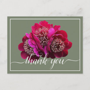 Schöne Crimson Peonies Color Background Vielen Dan Postkarte