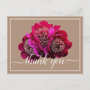 Schöne Crimson Peonies Color Background Vielen Dan Postkarte