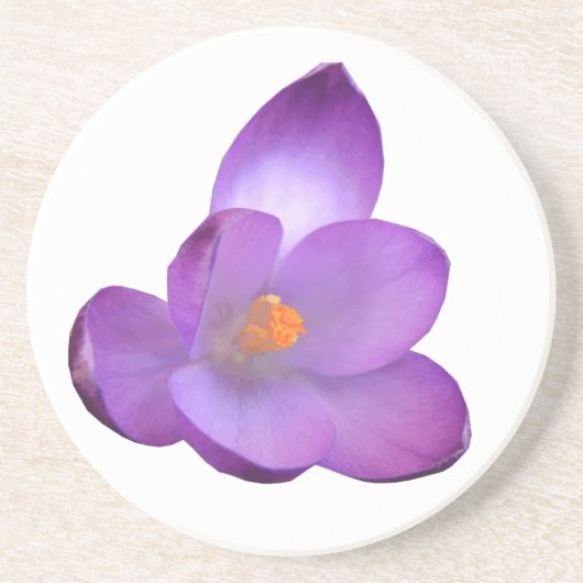 Schöne Crocus Blume Untersetzer (Vorne)
