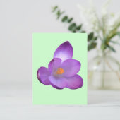 Schöne Crocus Postcard Postkarte (Stehend Vorderseite)