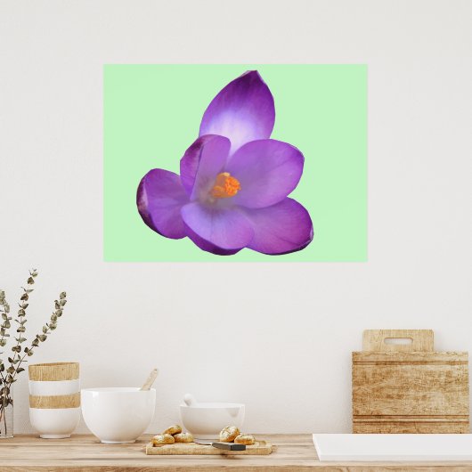 Schöne Crocus Print Poster (Küche)